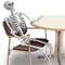 Kitcheniva Halloween Skull Skeleton Human Full Life Size Bone